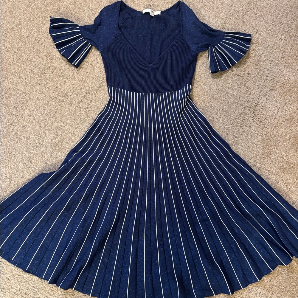 Navy Stripe Fit-and-Flare Knit Dress